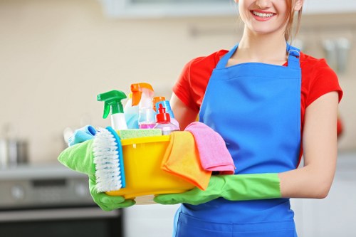 House cleaning basics for a tidy home