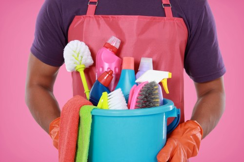Professional carpet cleaning in a living room