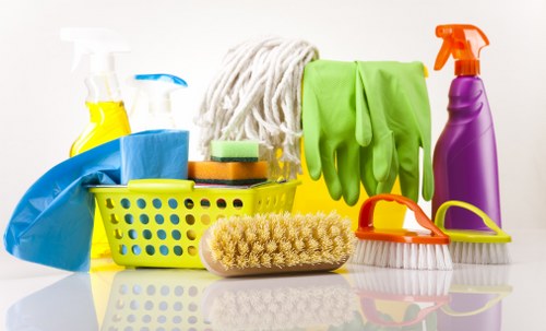 Deep cleaning tasks in a bathroom with sanitizing focus