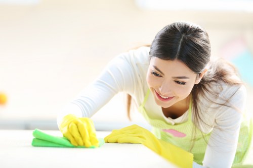Refined household cleaning standards in Knightsbridge