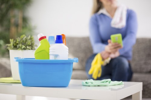 Cleaning supplies and routine maintenance setup