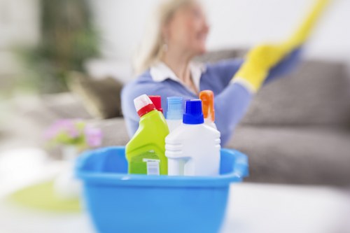 Home mattress cleaning tools and maintenance
