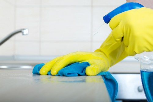A thorough one off cleaning visit in a home