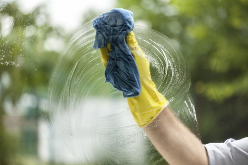 Professional house cleaning service in a living room