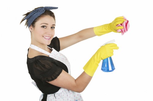 Residential window cleaning creating a brighter home interior