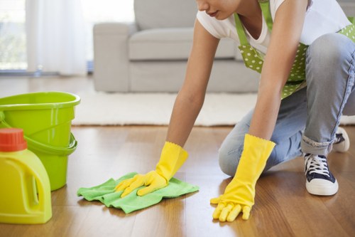 Regular cleaning in a tidy household living area